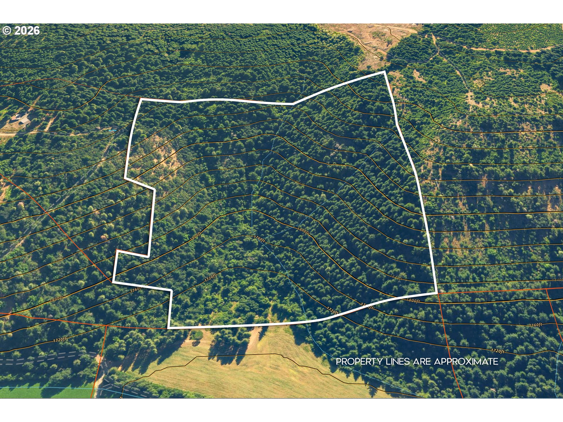 Aerial view of a wooded parcel outlined in white, with terrain contour lines.
