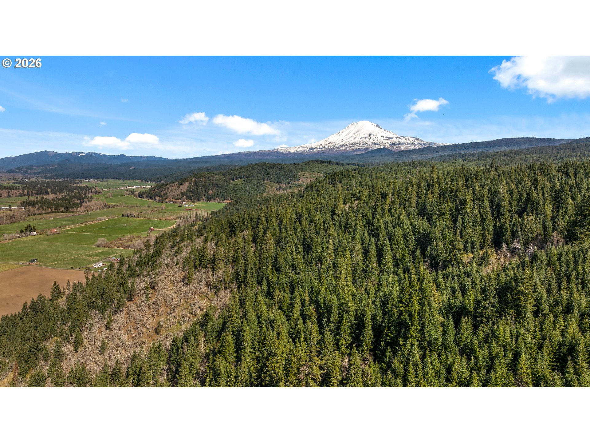Aerial view of dense forest and farmland with a snow-capped mountain in the distance.