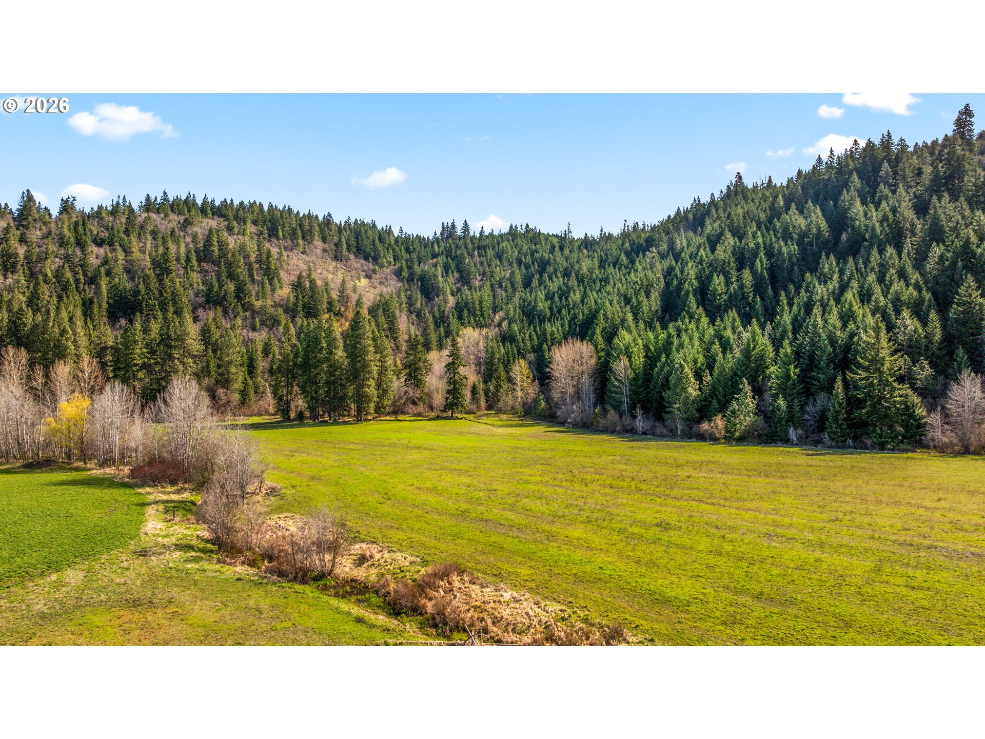 Green field bordered by evergreen-covered hills and scattered leafless trees.