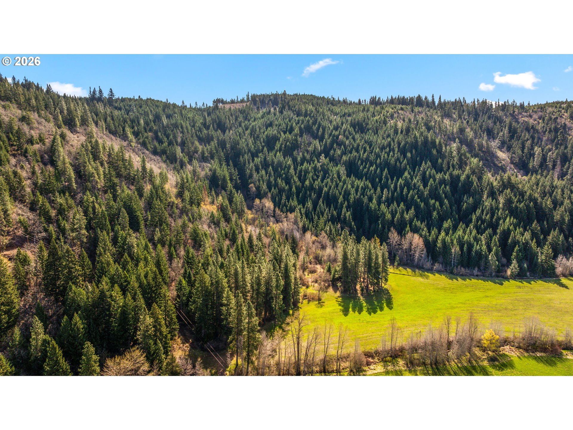 Aerial view of forested hills bordering a vivid green meadow.