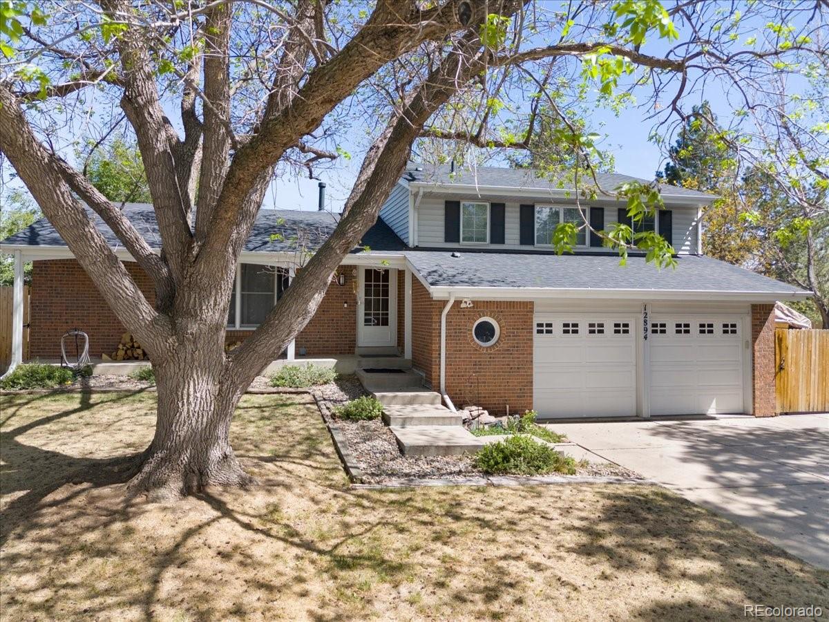 12894 Adams Way