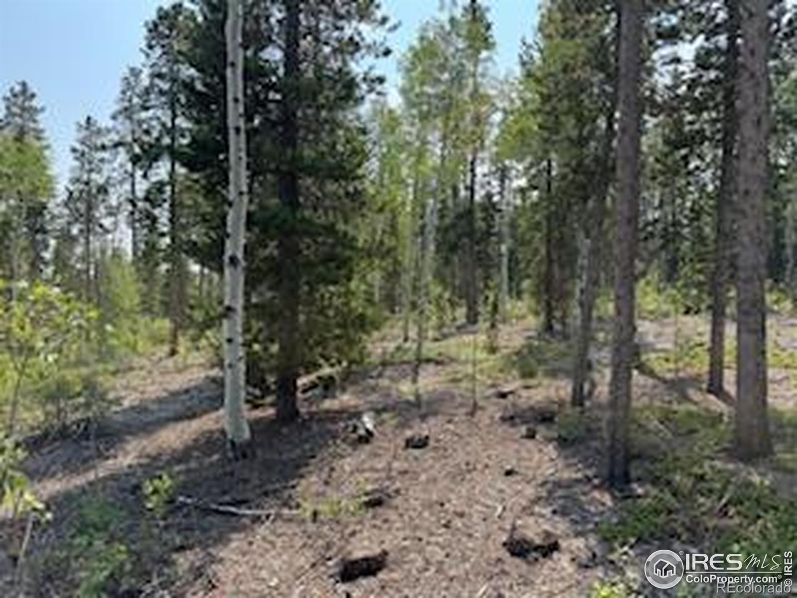 316 Panamint Way