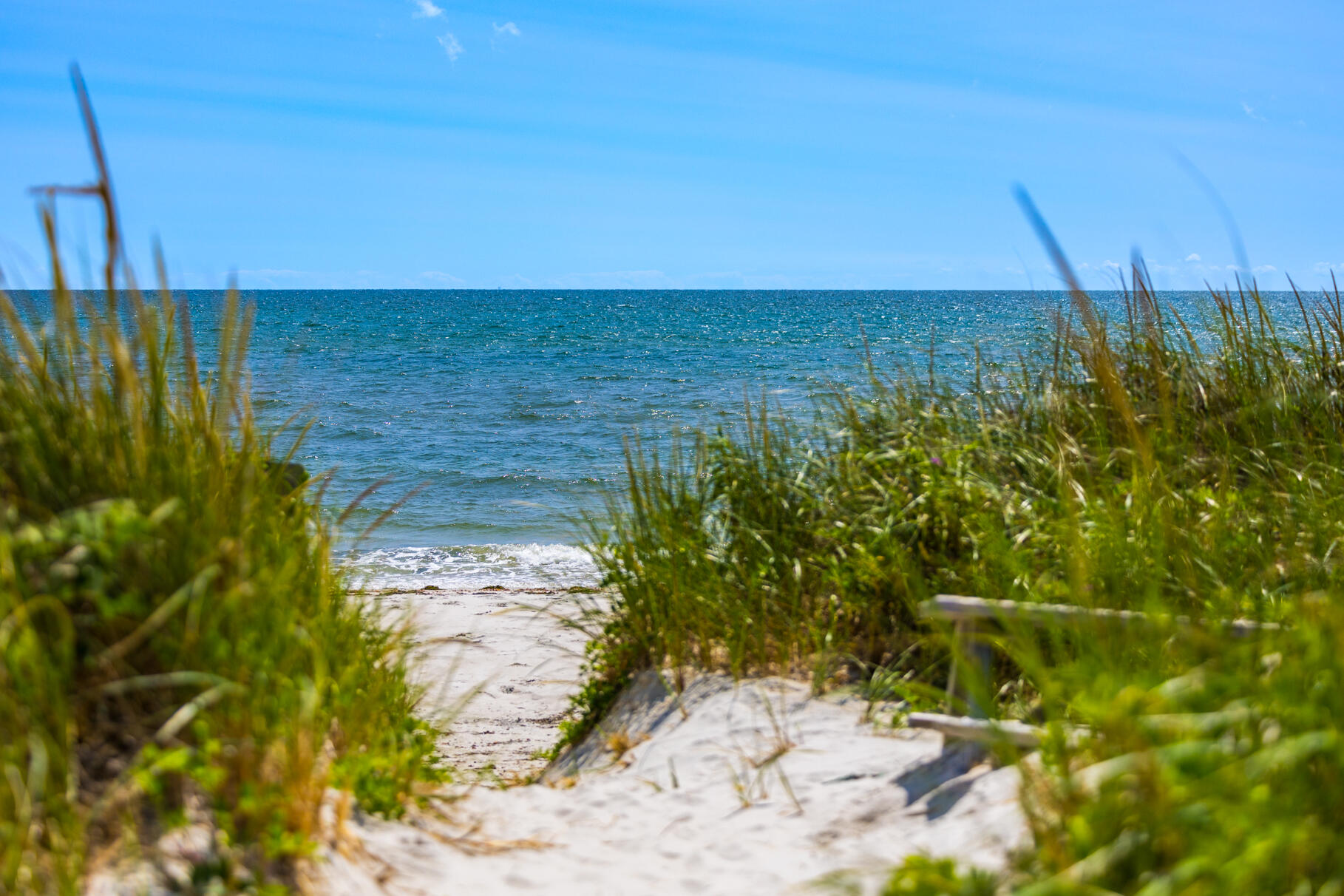 Water Views on Great Island