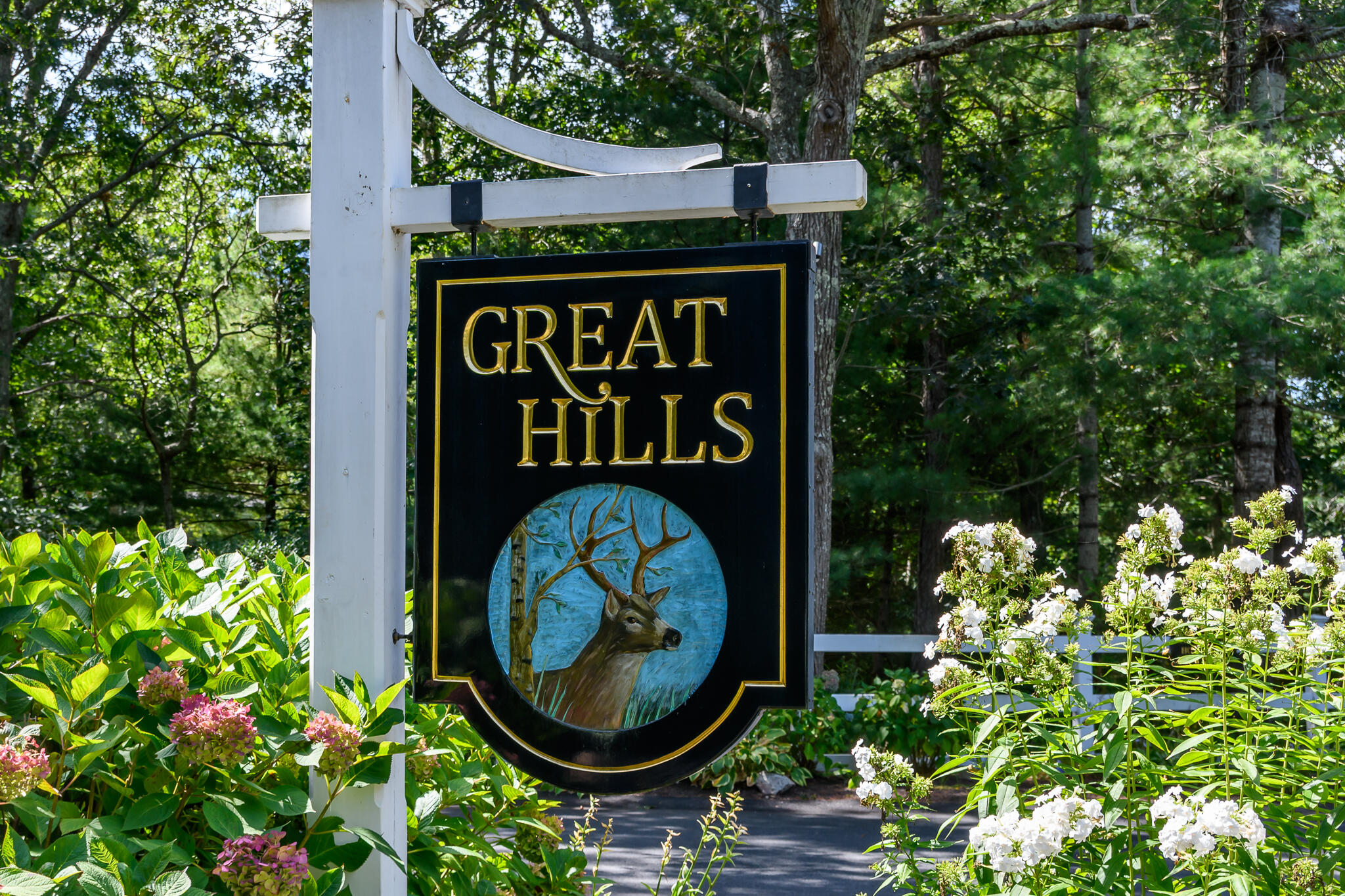 Custom Colonial in Great Hills