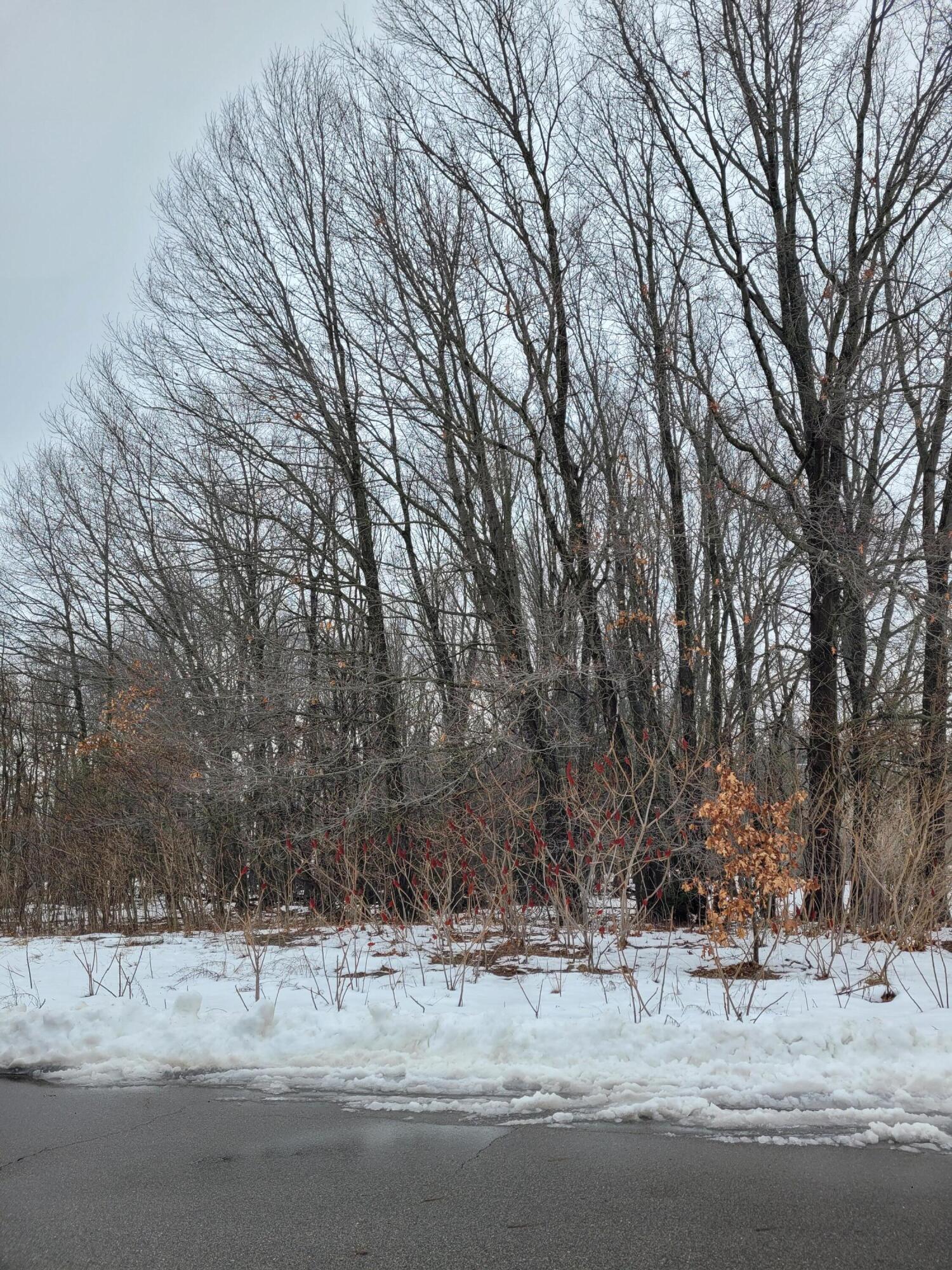 Lot 113 Cedarberry Avenue