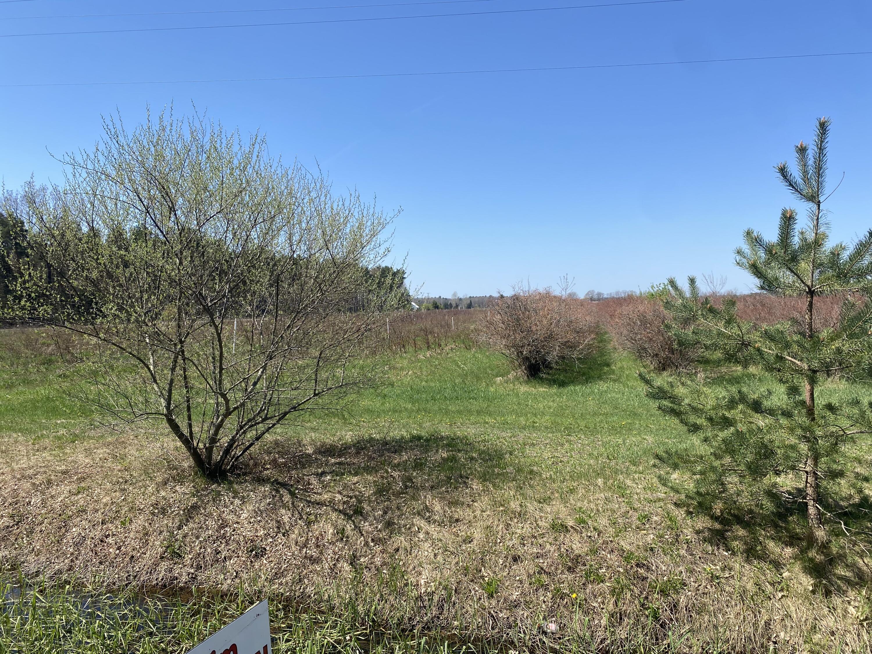 VL S Wolf Lake Road A