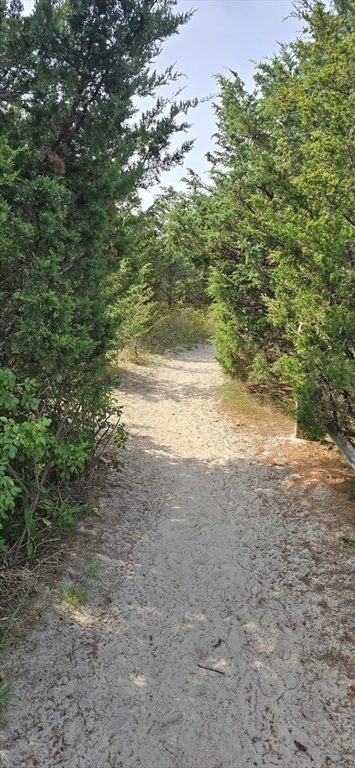 59 Bridge Rd