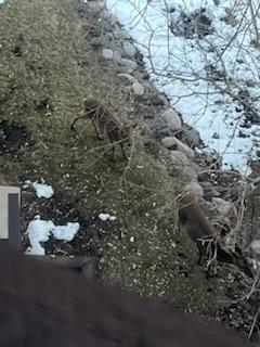 4710 58th Avenue N Unit: 318