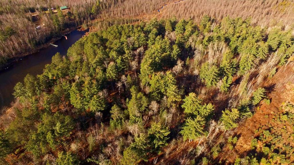 TBD Lot 3 Yahoo Point Road