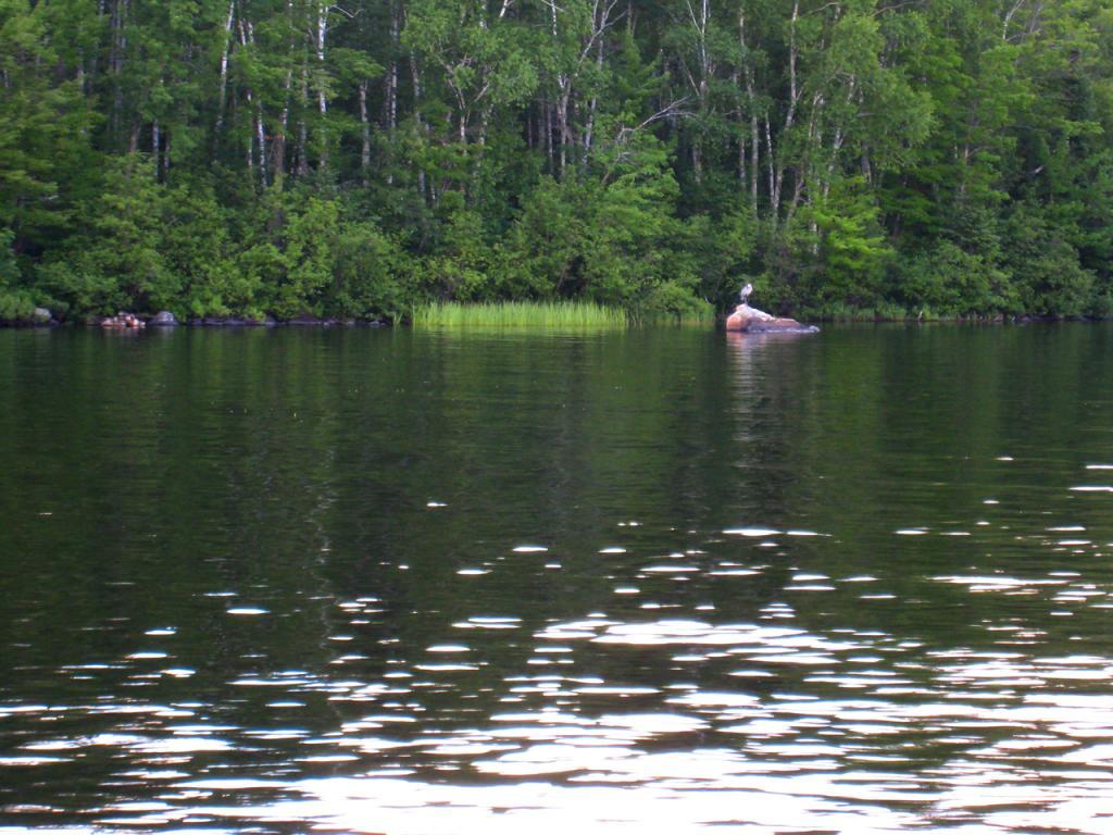 TBD Lot 3 Yahoo Point Road