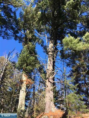 TBD Lot 3 Yahoo Point Road