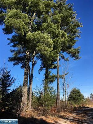 TBD Lot 3 Yahoo Point Road