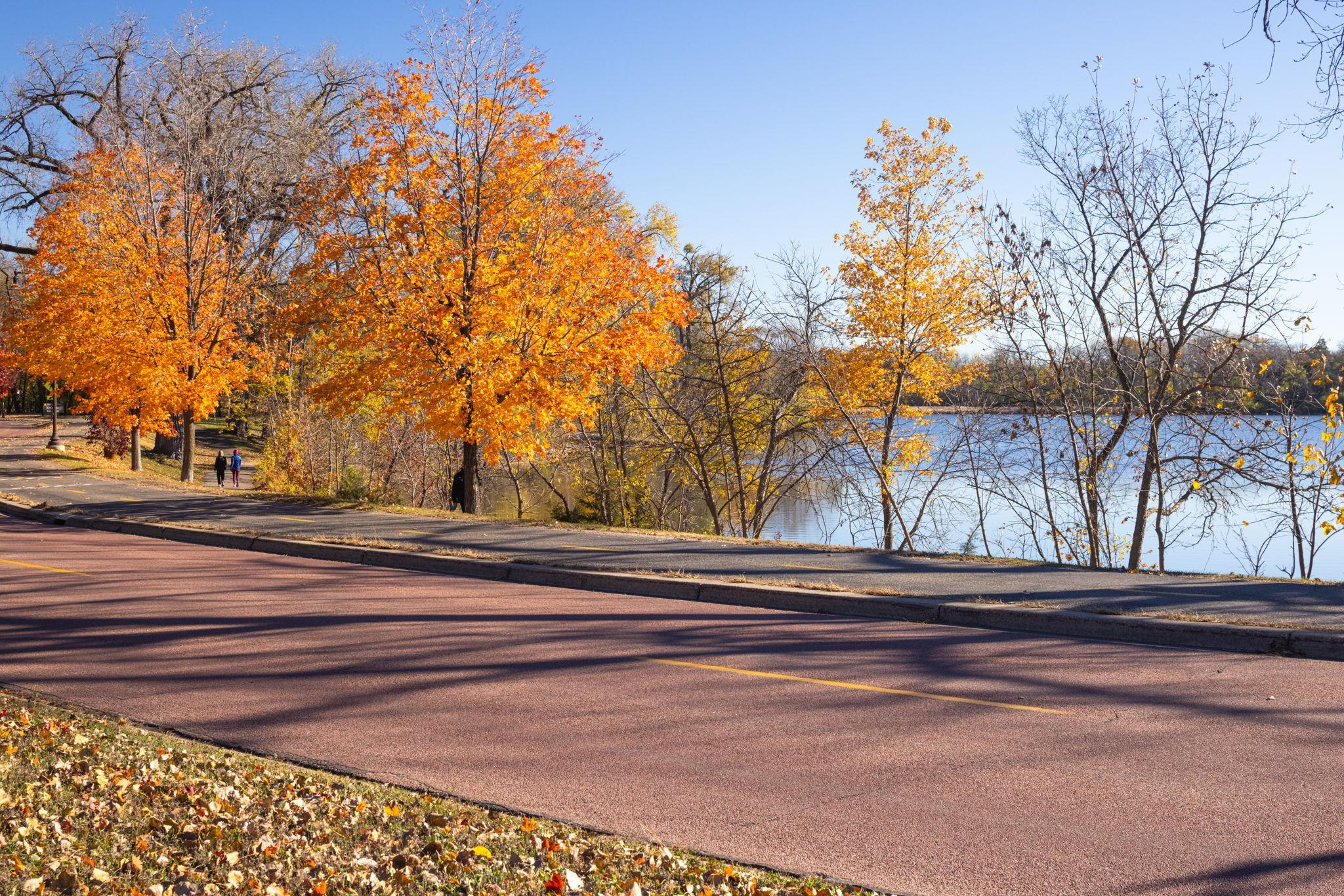 2210 Cedar Lake Parkway