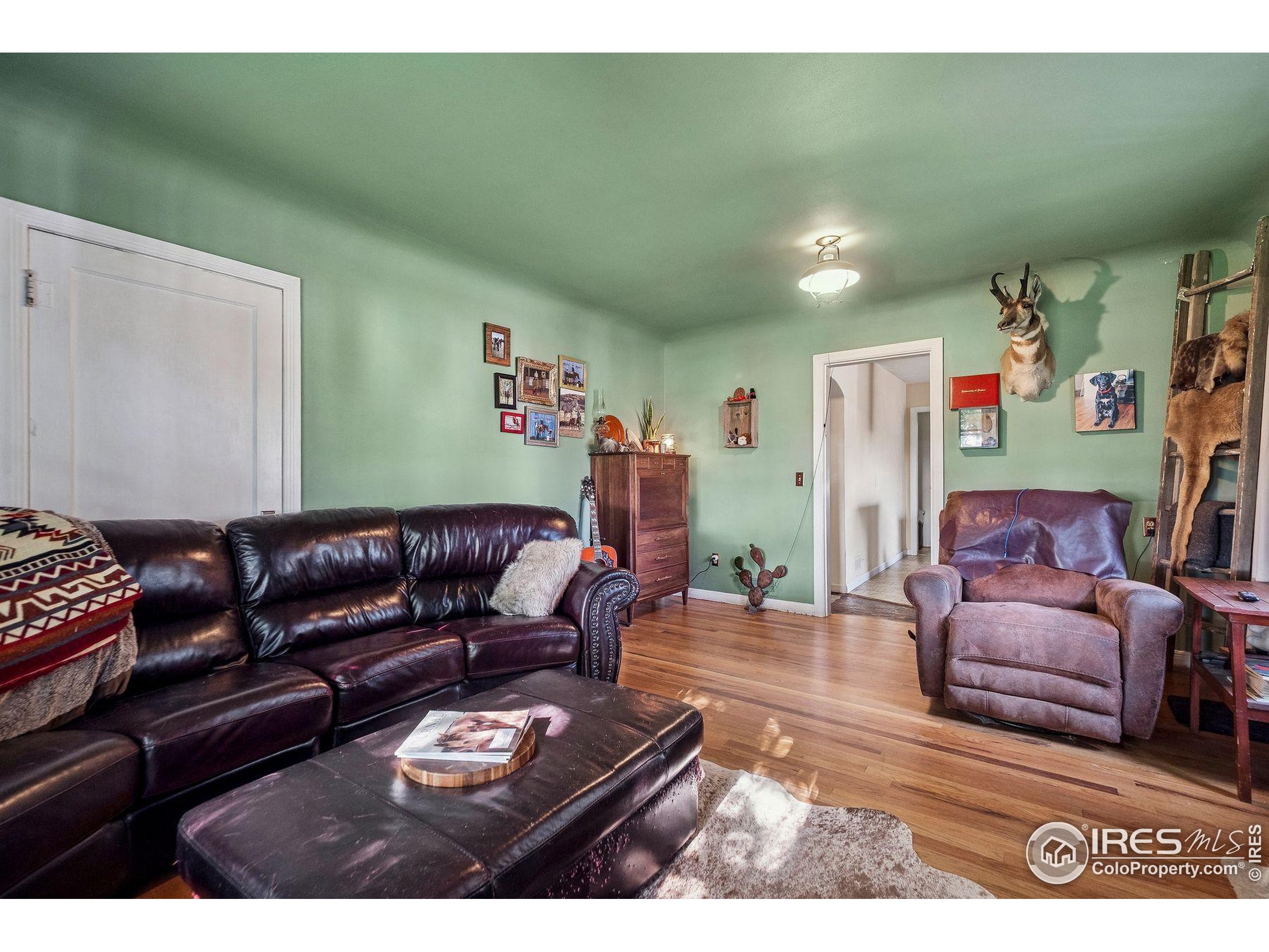 74 N County Road 157