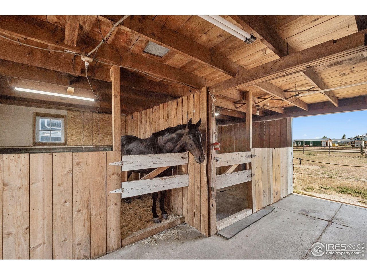 74 N County Road 157