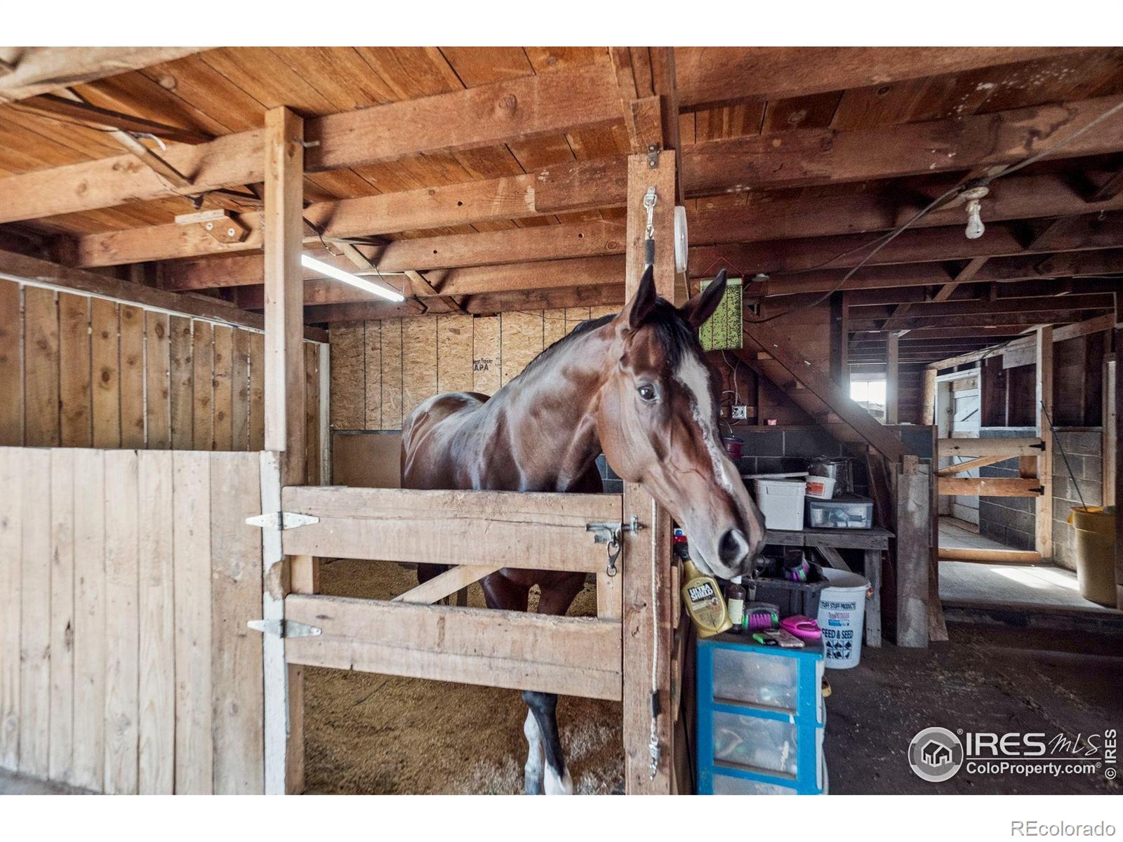 74 N County Road 157