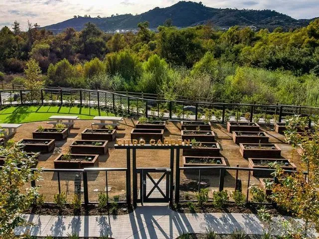 507 Meadowood St. # 231