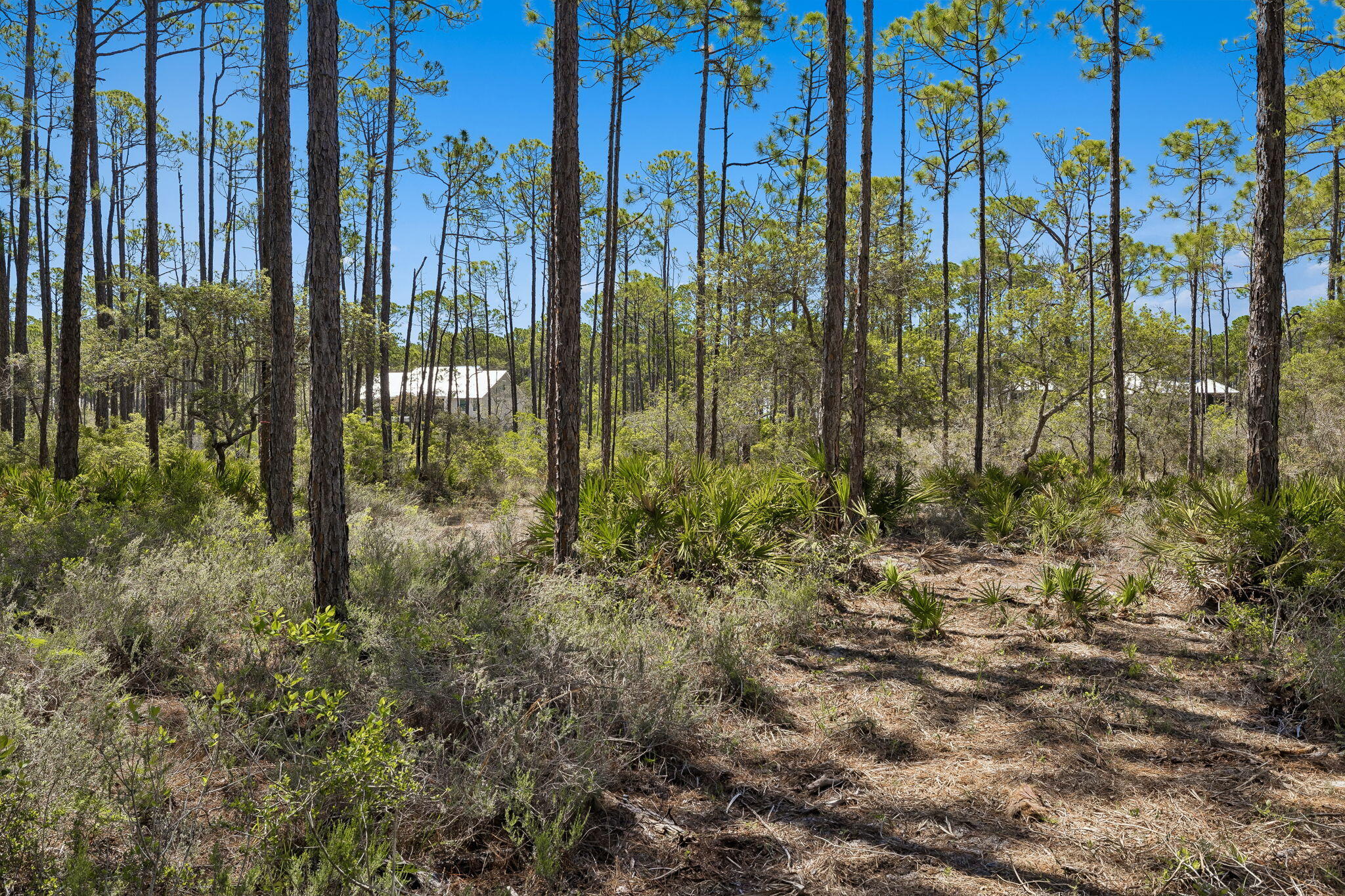 6315 Turkey Cove Lane