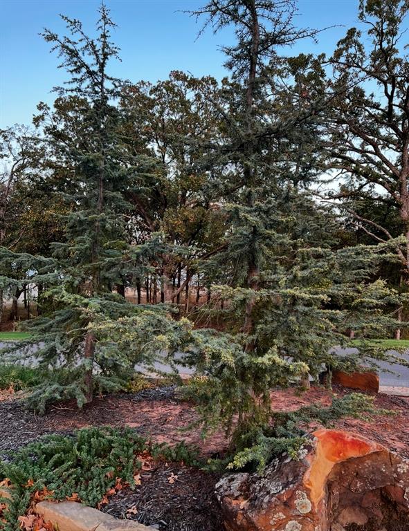 12917 Back Acres Trail