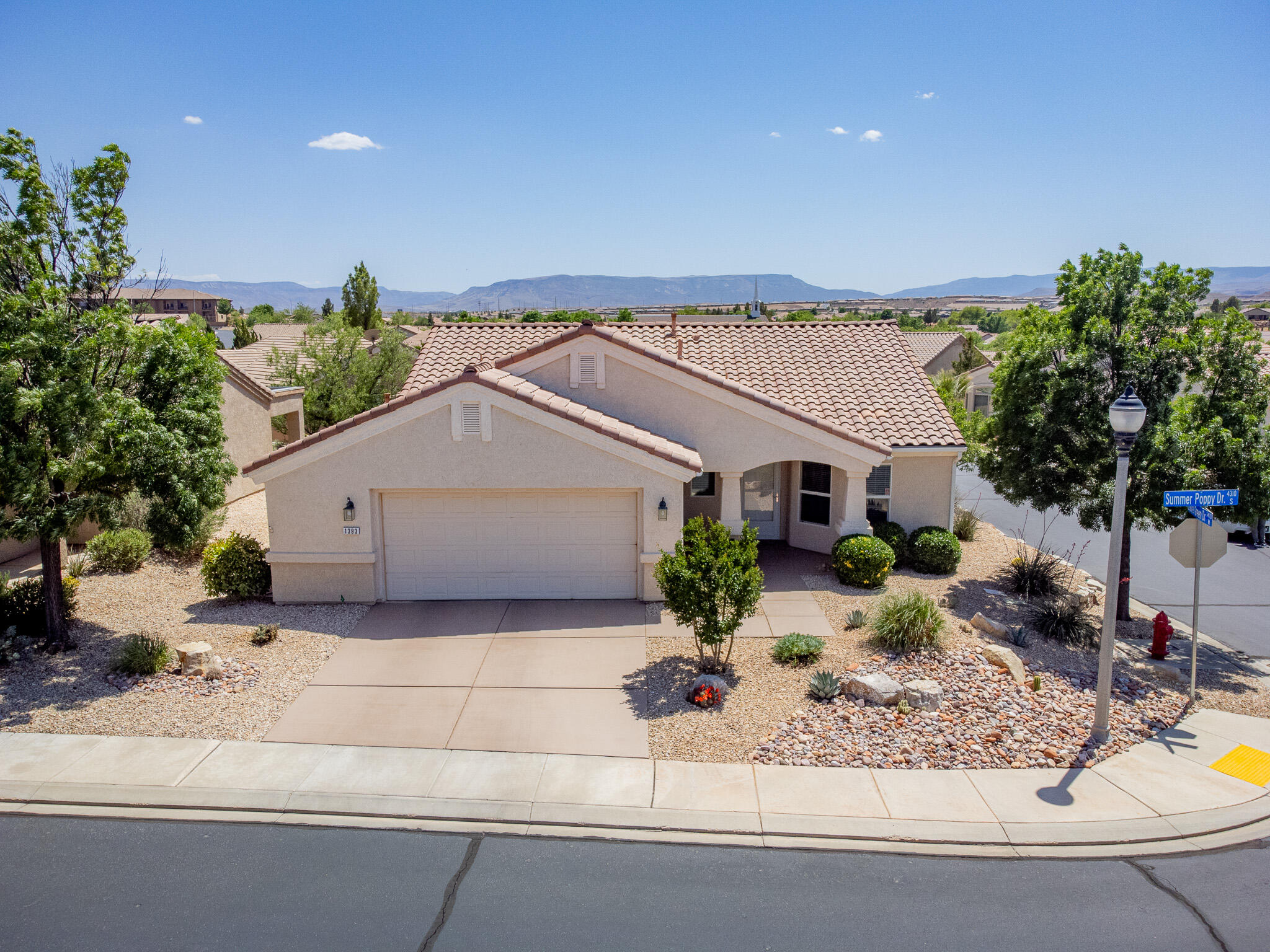 1393 W Summer Poppy DR