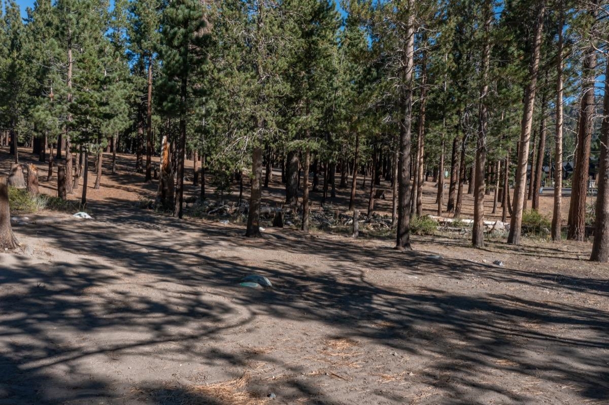 5699 Minaret Road Unit: 39