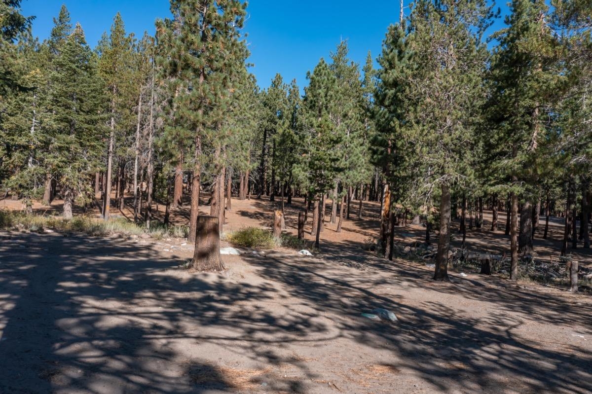 5699 Minaret Road Unit: 39