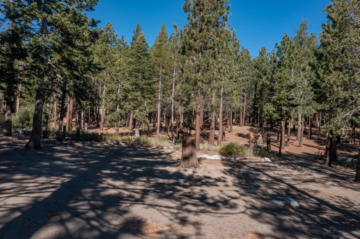 5699 Minaret Road Unit: 39