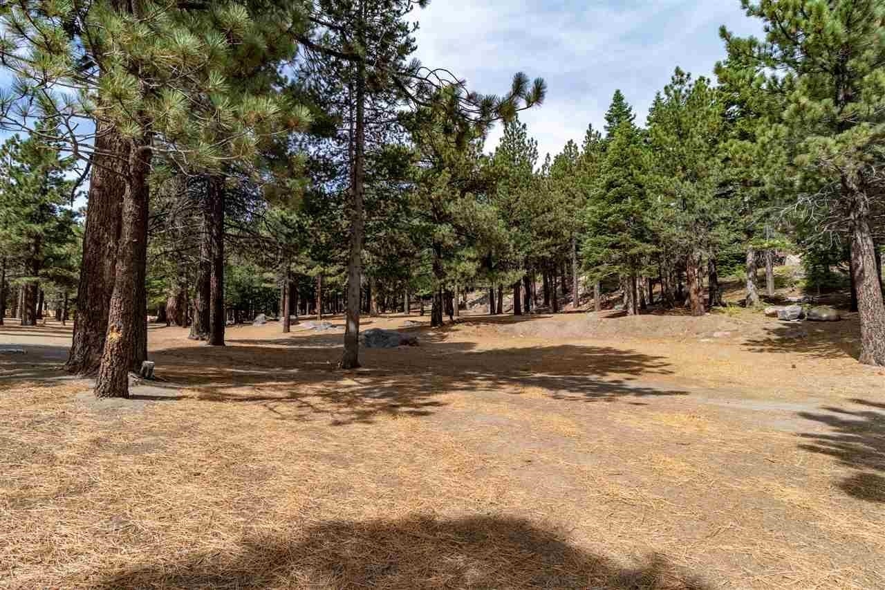 5699 Minaret Road Unit: 39