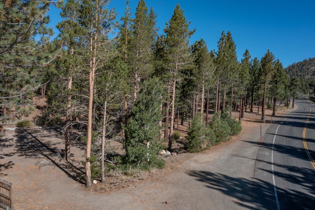 5699 Minaret Road Unit: 39