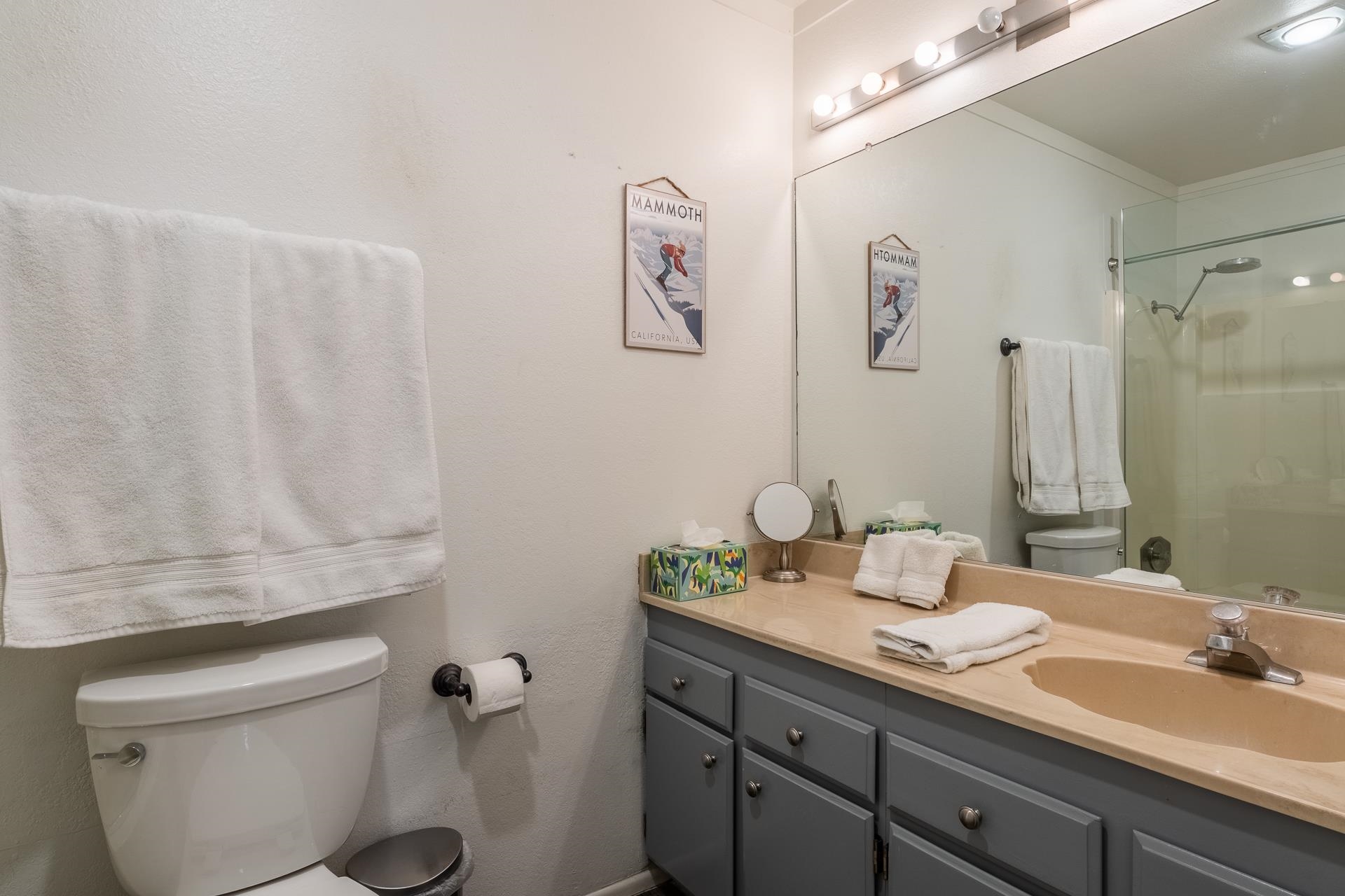 248 Mammoth Slopes Dr. #H-81 Unit: Mammoth Ski and Racquet