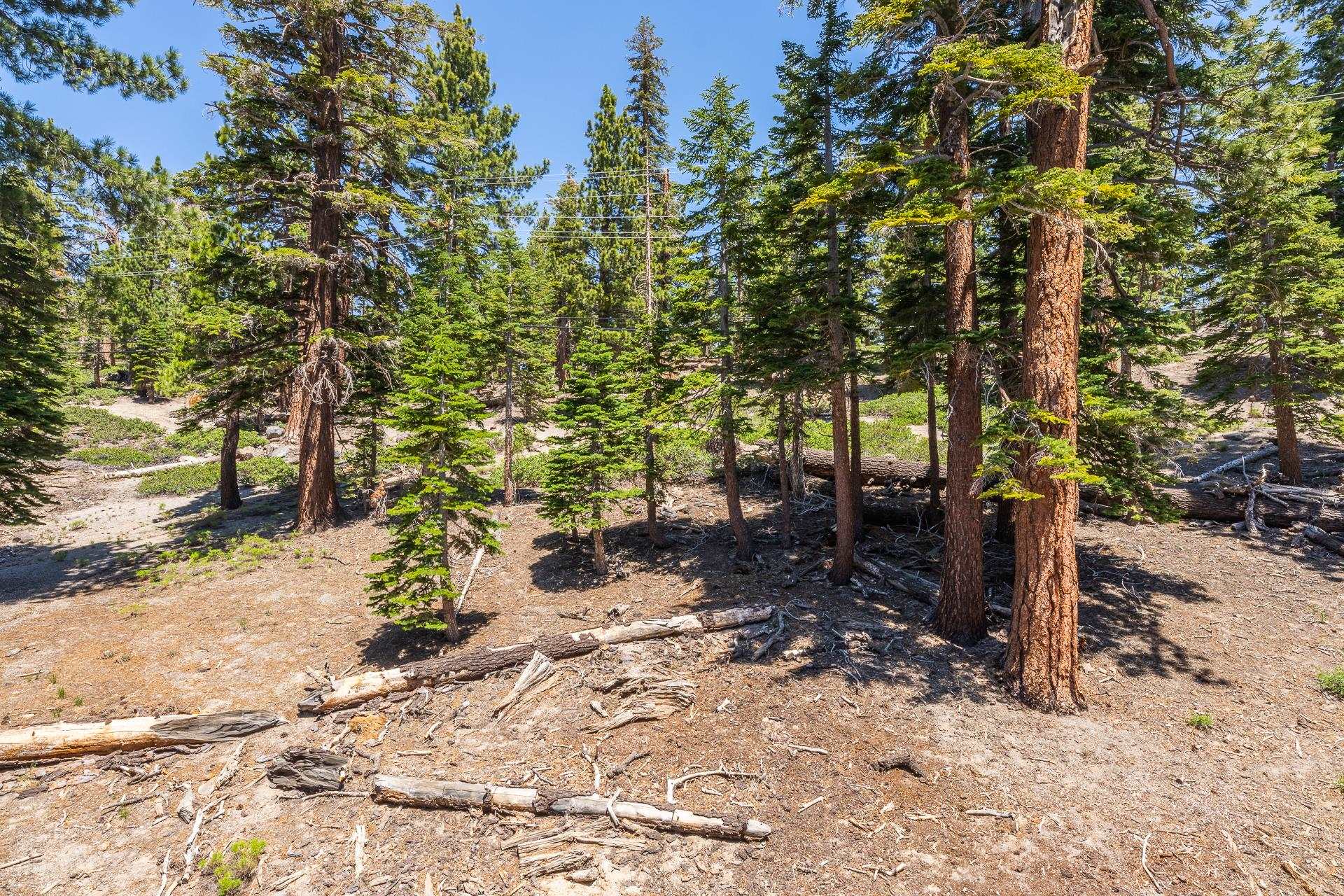 248 Mammoth Slopes Dr. #H-81 Unit: Mammoth Ski and Racquet