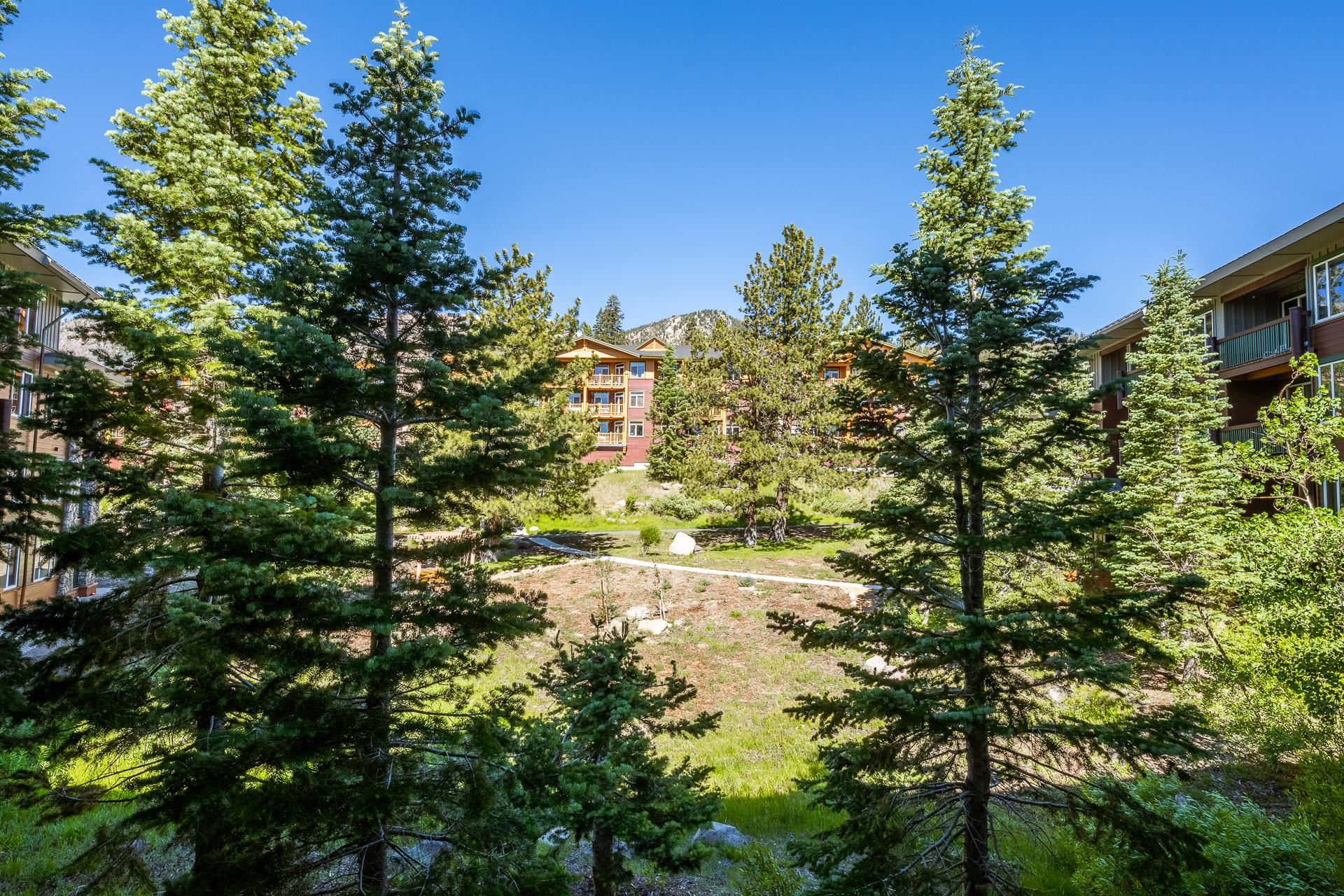 4000 Meridian Dr. #332 Unit: Juniper Springs Lodge Unit 332