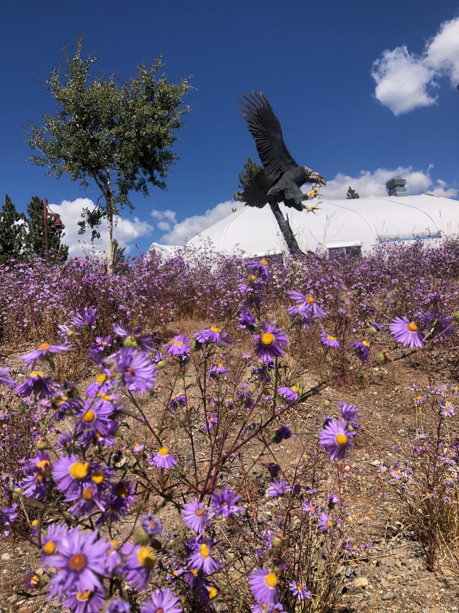 4000 Meridian Dr. #332 Unit: Juniper Springs Lodge Unit 332