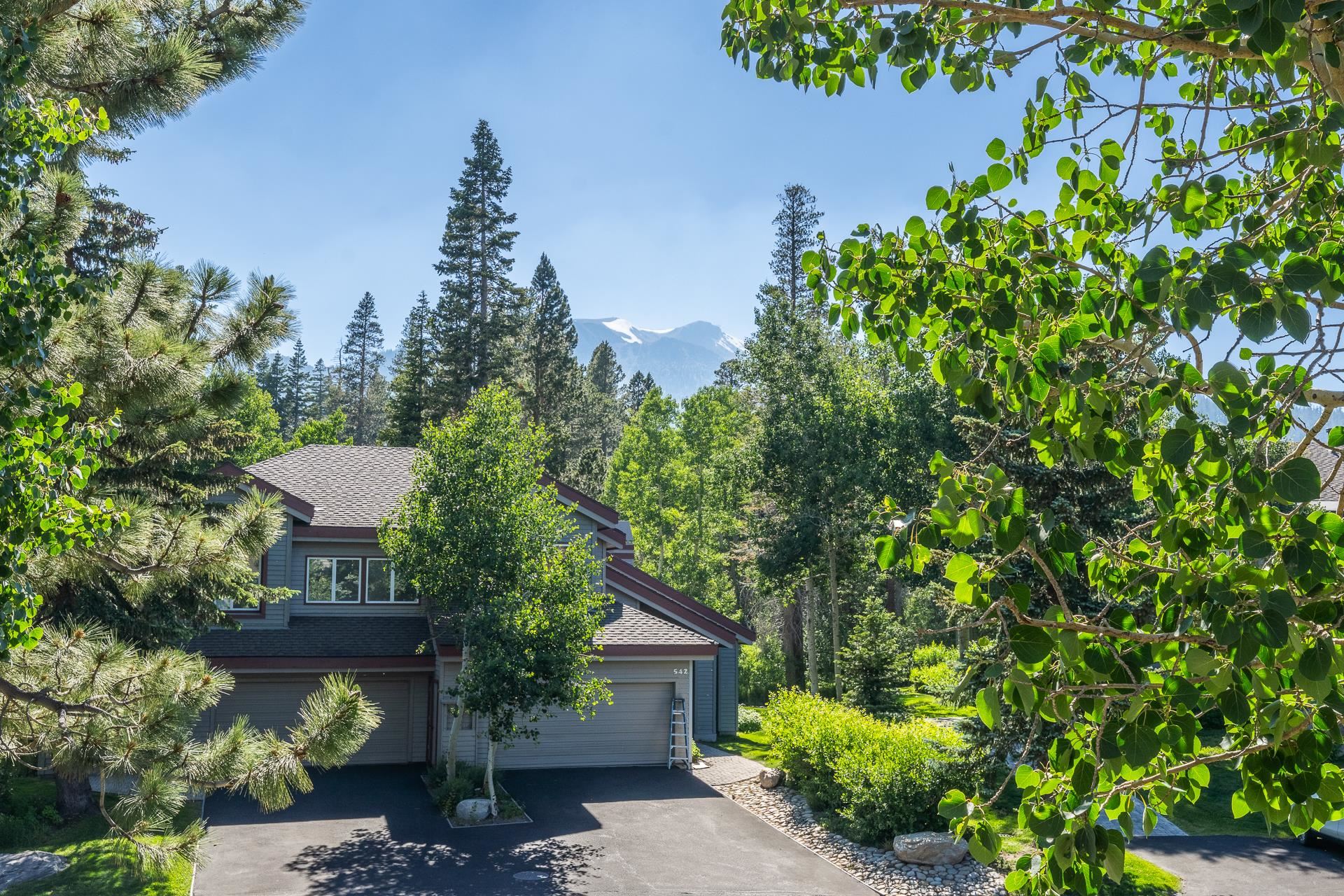 538 Golden Creek Road Unit: Snowcreek IV #538