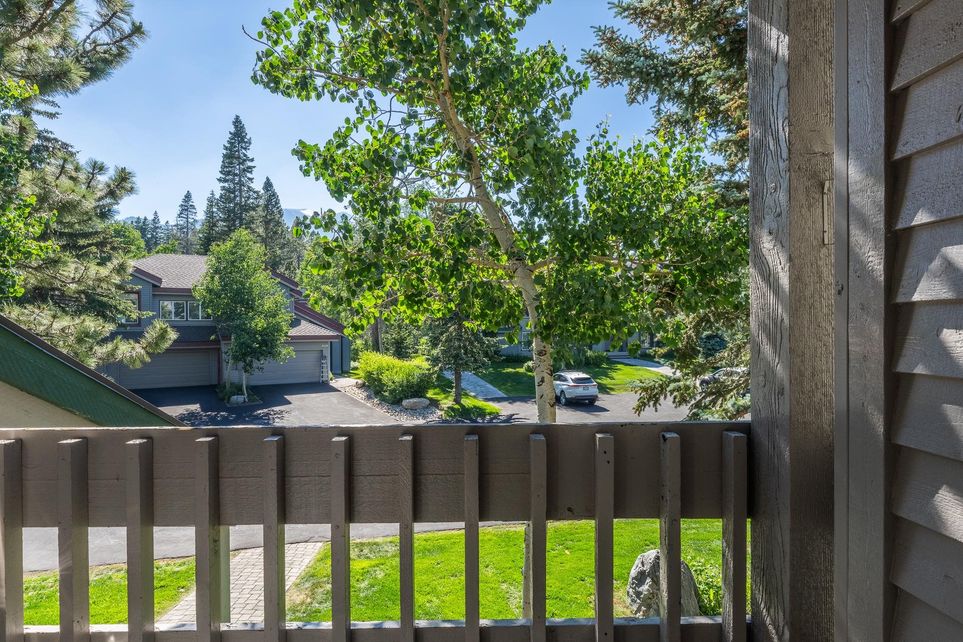 538 Golden Creek Road Unit: Snowcreek IV #538