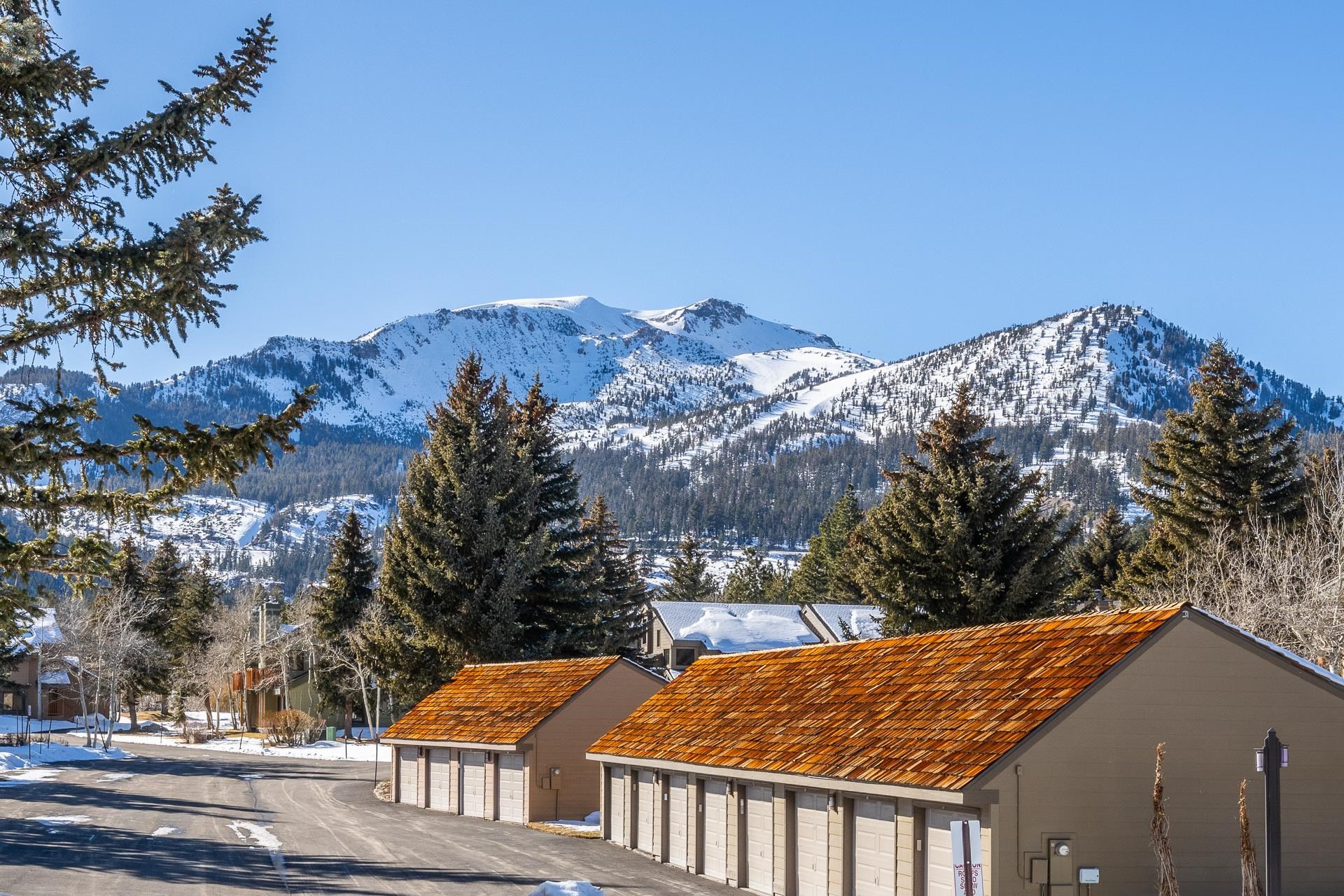 239 Solitude Unit: Snowcreek II #239