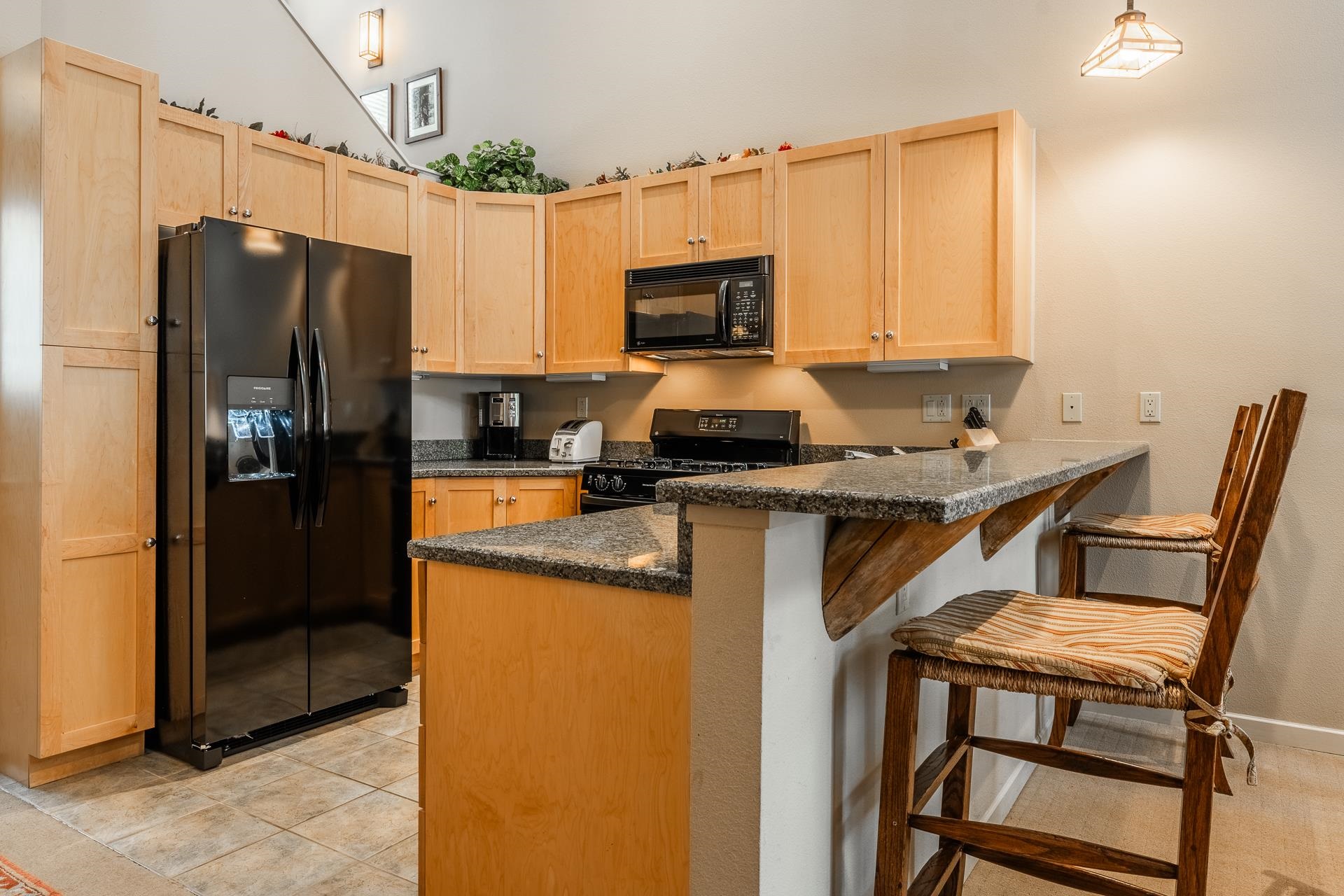 1500 Lodestar Dr #217 Unit: Mammoth Green #217