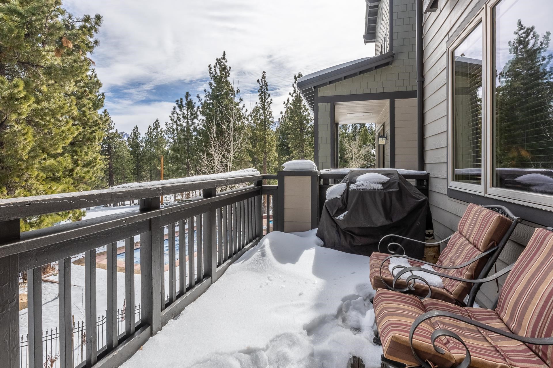 1500 Lodestar Dr #217 Unit: Mammoth Green #217