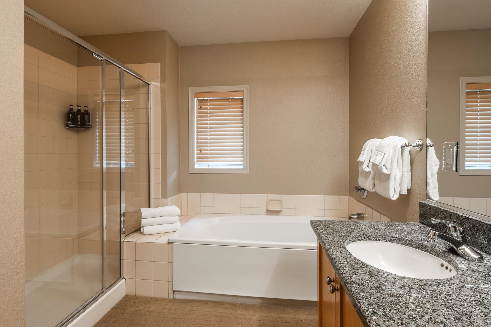 1500 Lodestar Dr #217 Unit: Mammoth Green #217