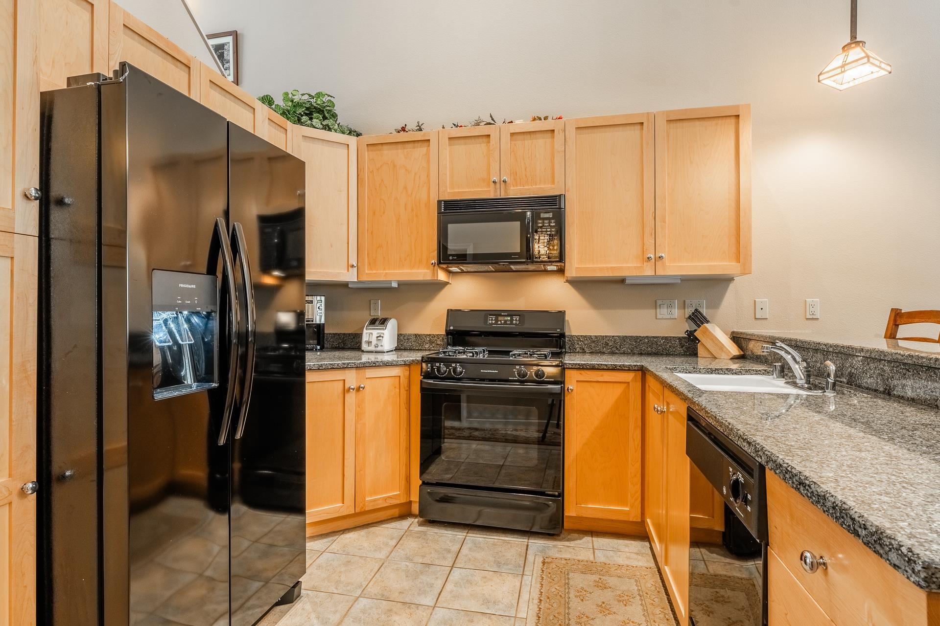 1500 Lodestar Dr #217 Unit: Mammoth Green #217