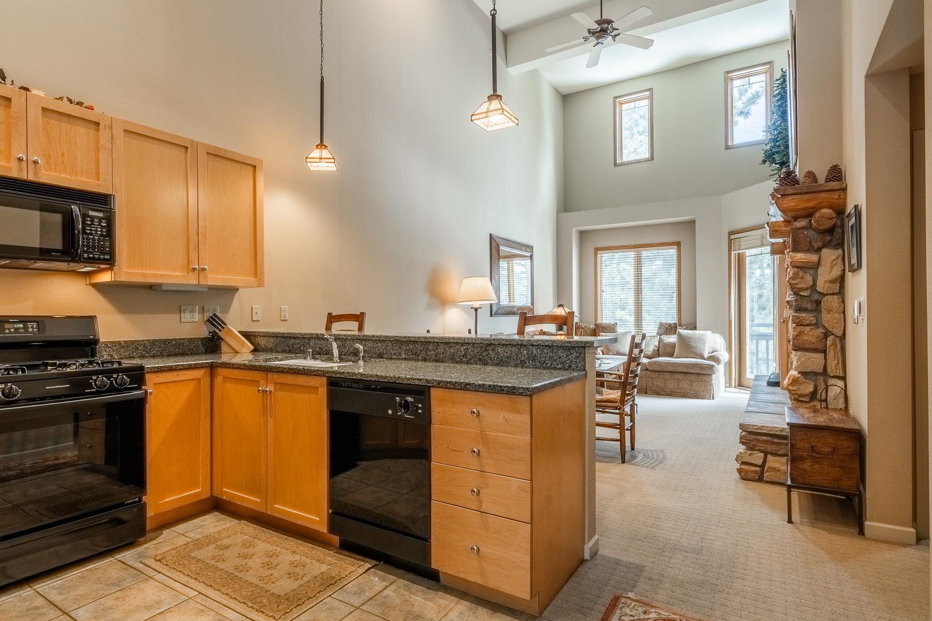 1500 Lodestar Dr #217 Unit: Mammoth Green #217