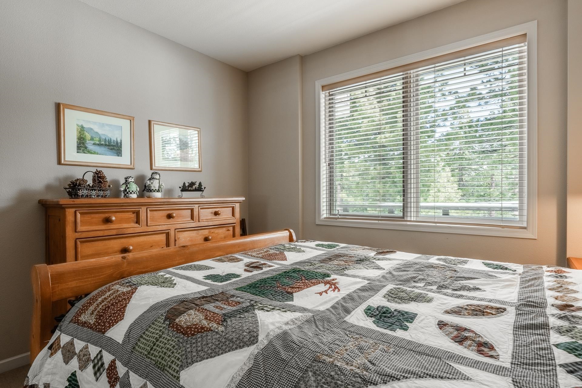 1500 Lodestar Dr #217 Unit: Mammoth Green #217