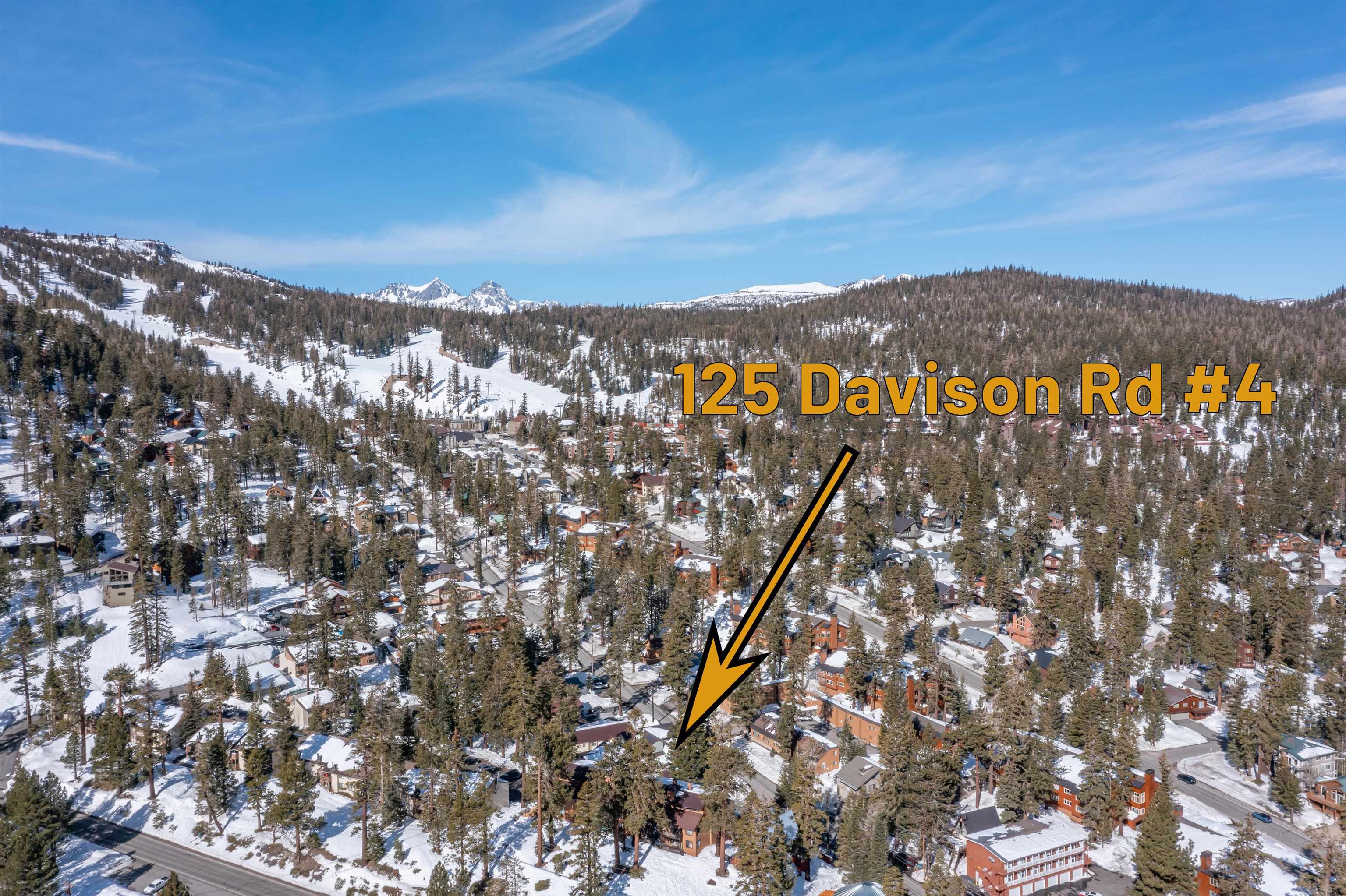 125 Davison Road