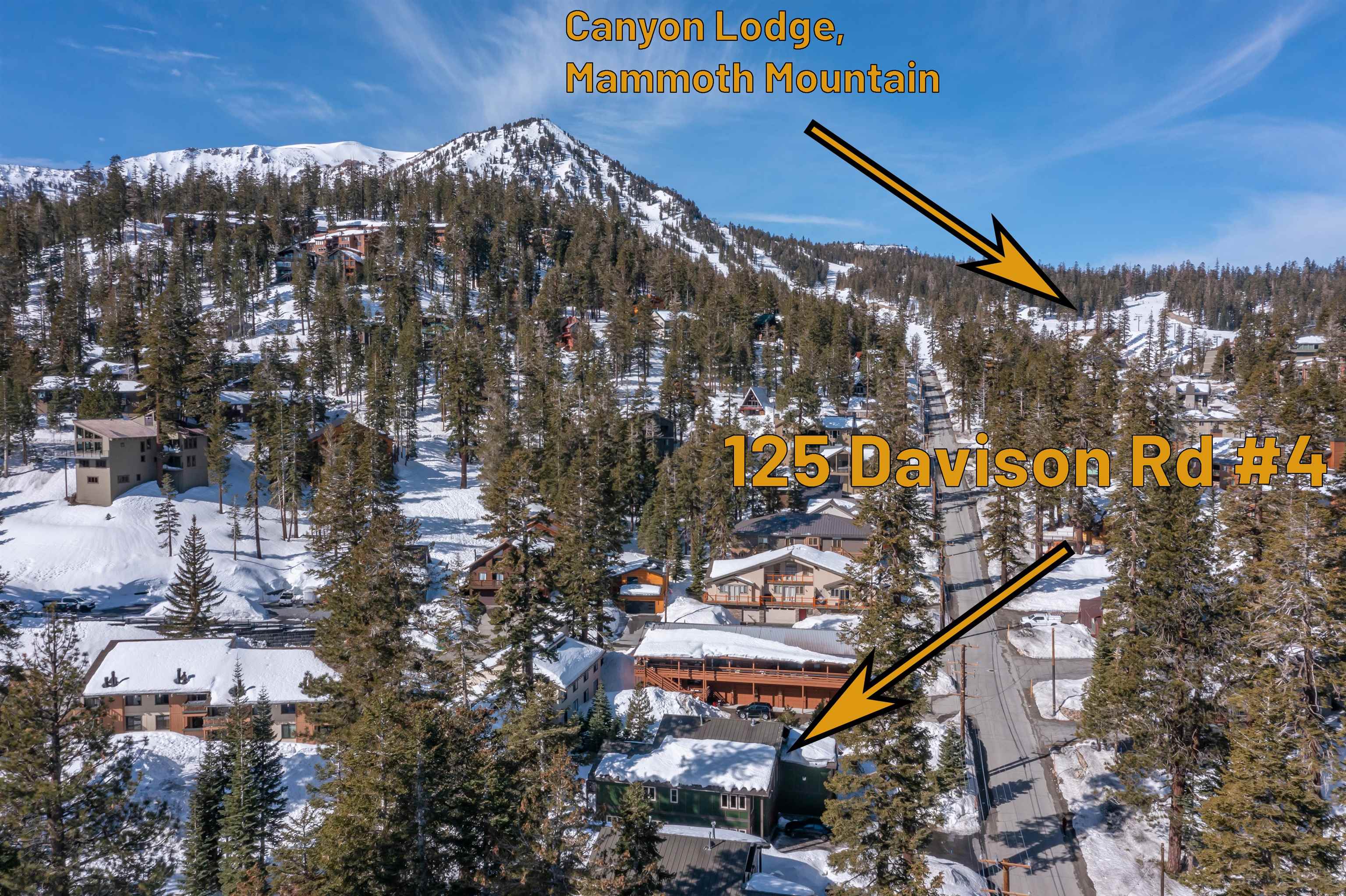 125 Davison Road
