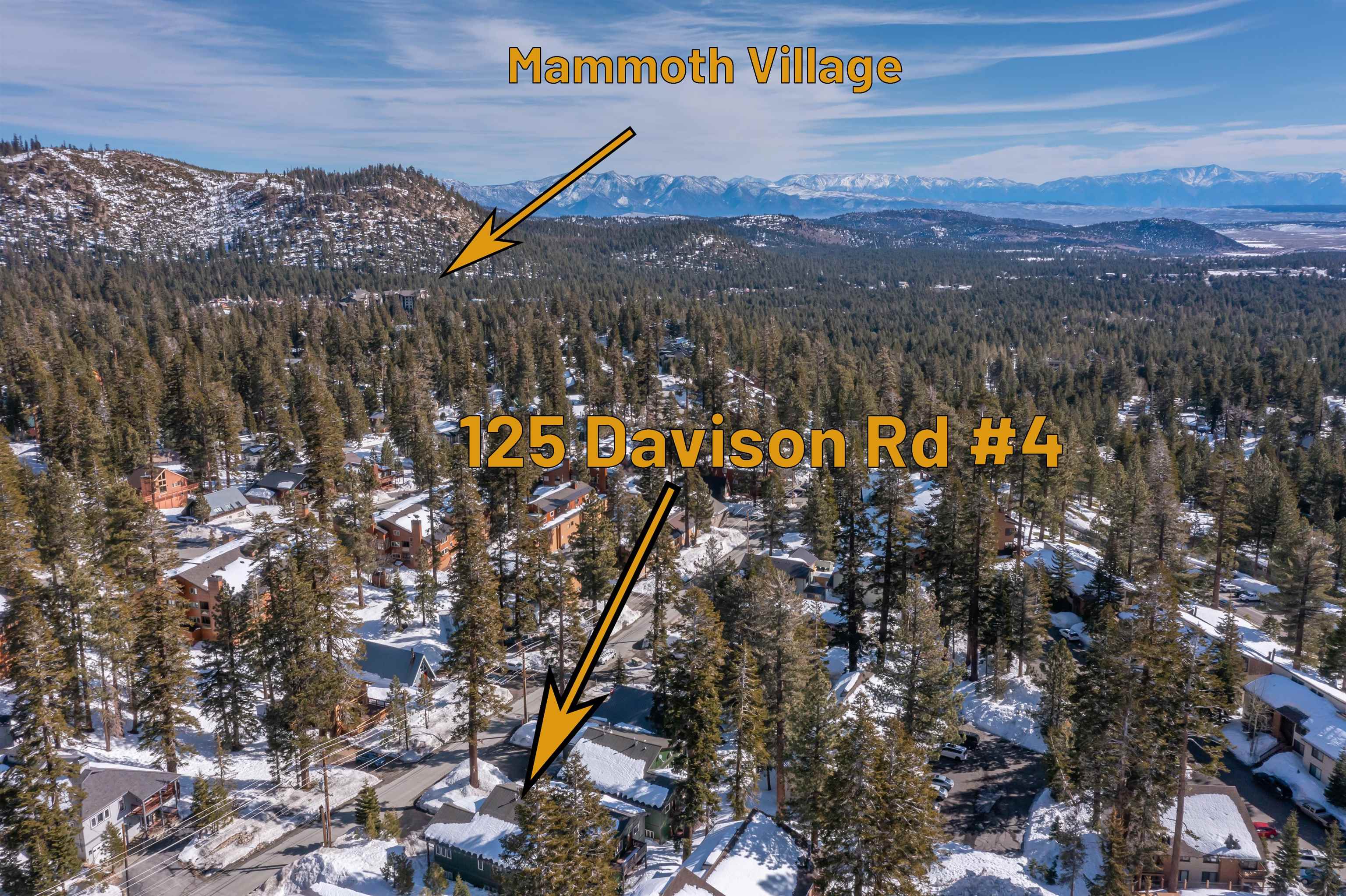 125 Davison Road