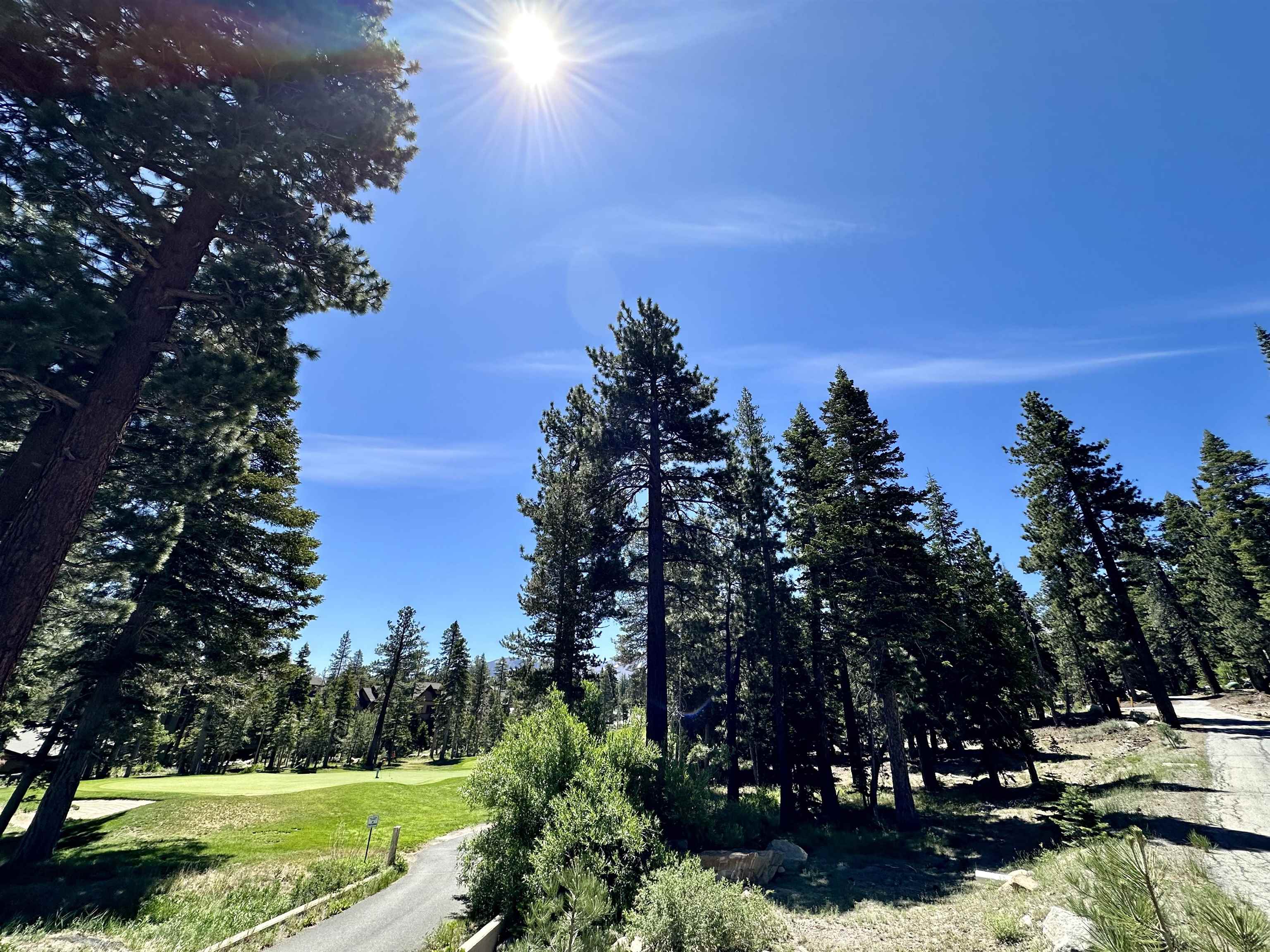 2022 Lodestar Drive Unit: Lot #10