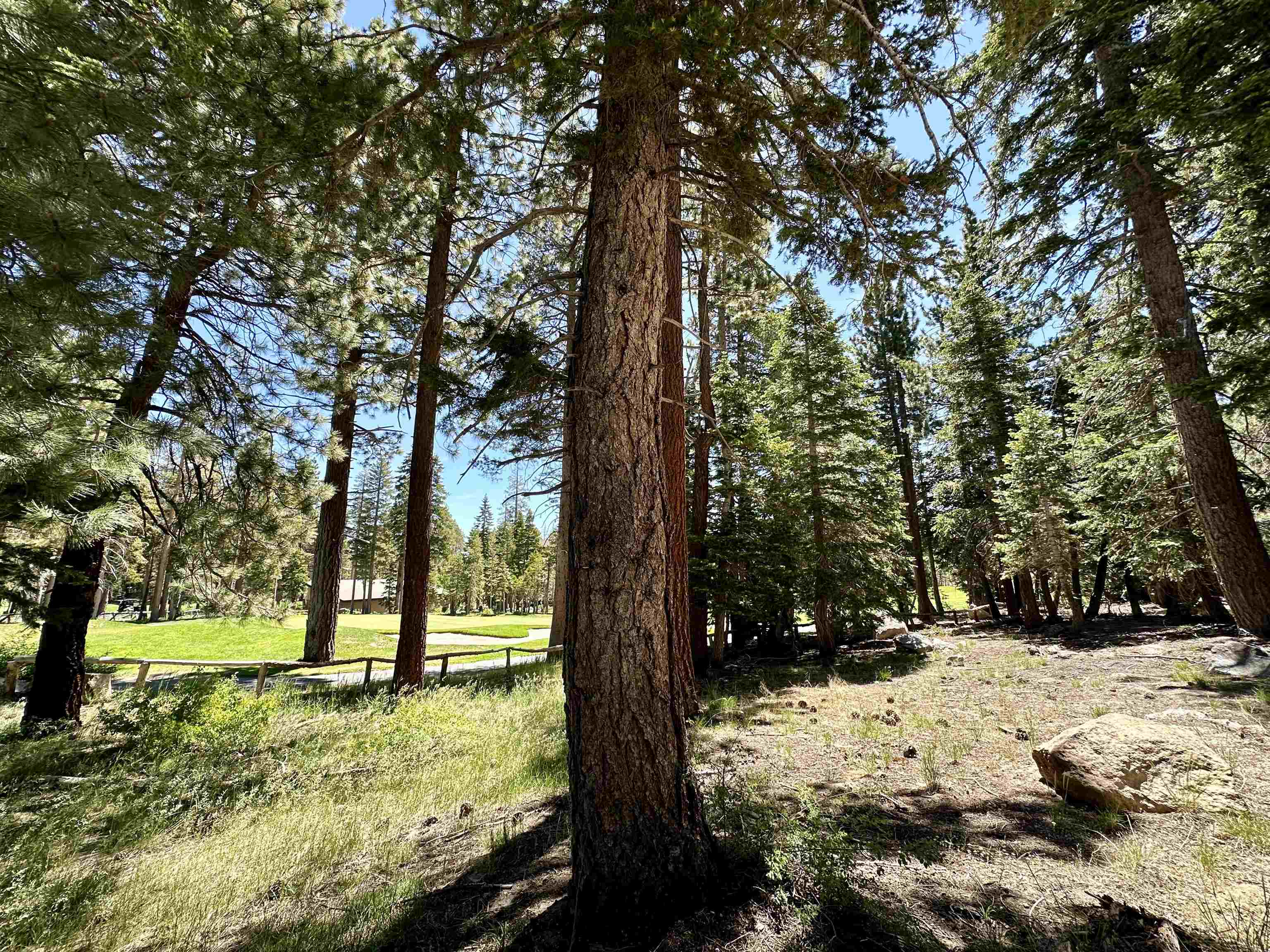 2022 Lodestar Drive Unit: Lot #10