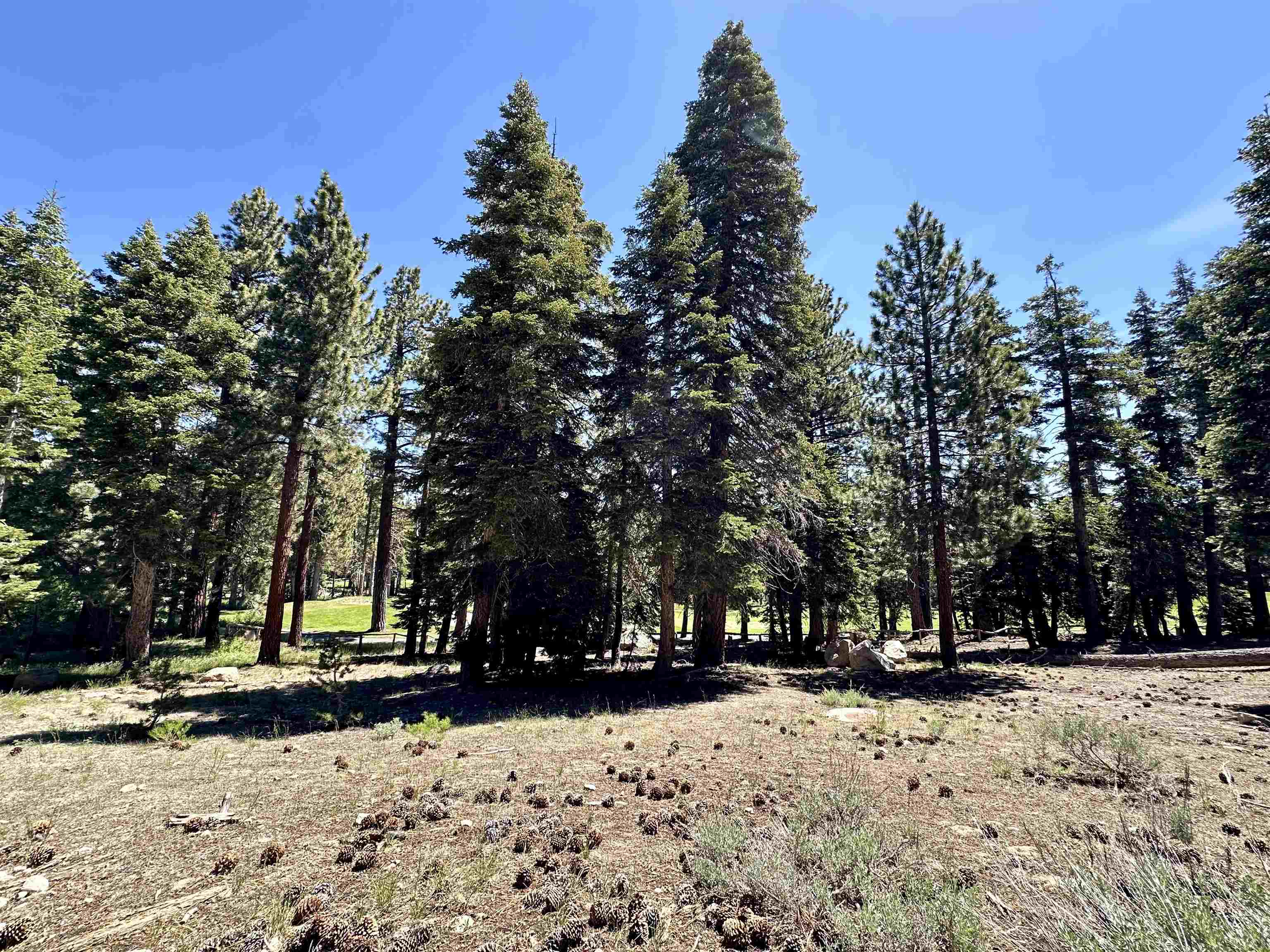 2022 Lodestar Drive Unit: Lot #10