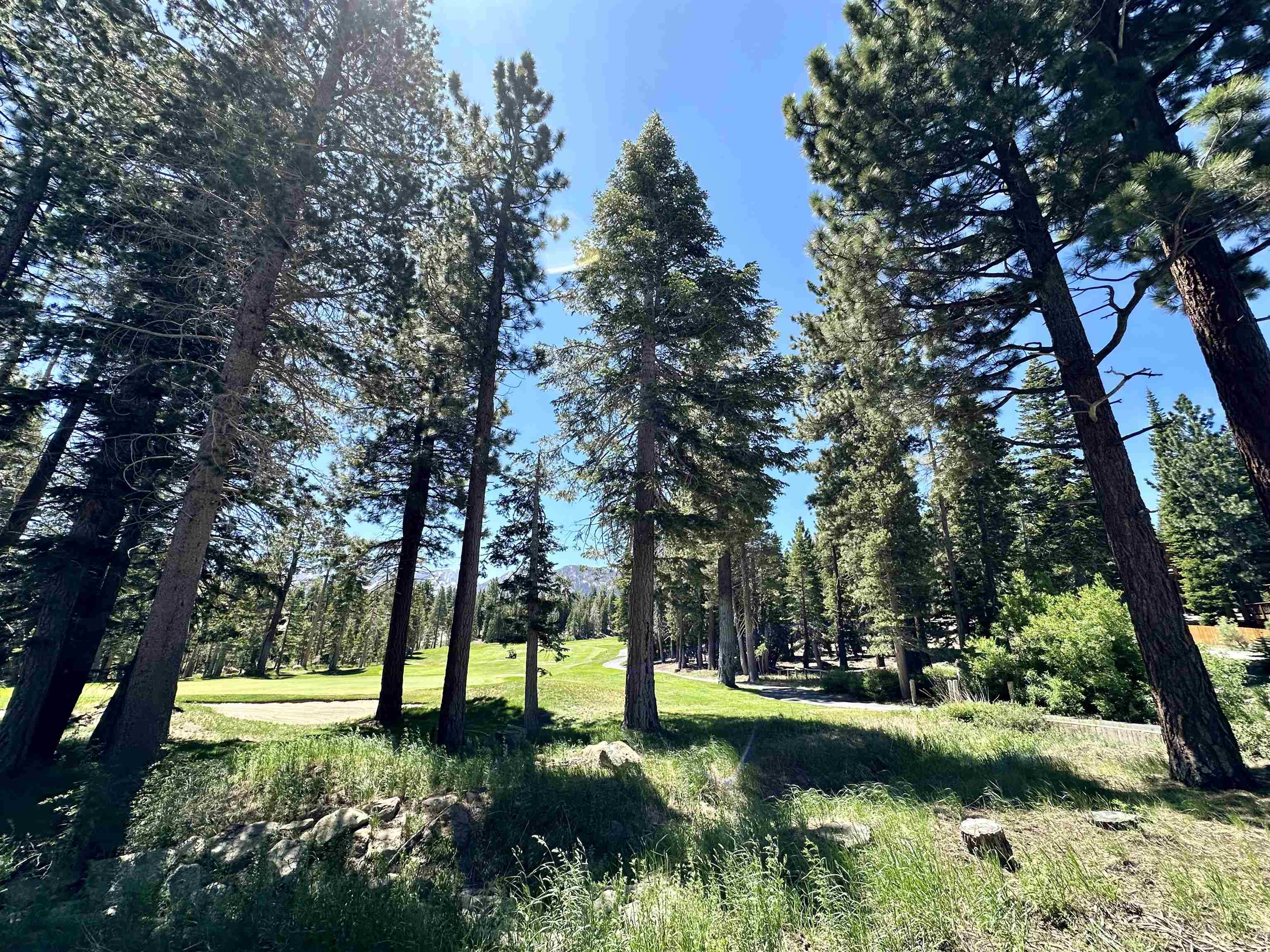 2022 Lodestar Drive Unit: Lot #10