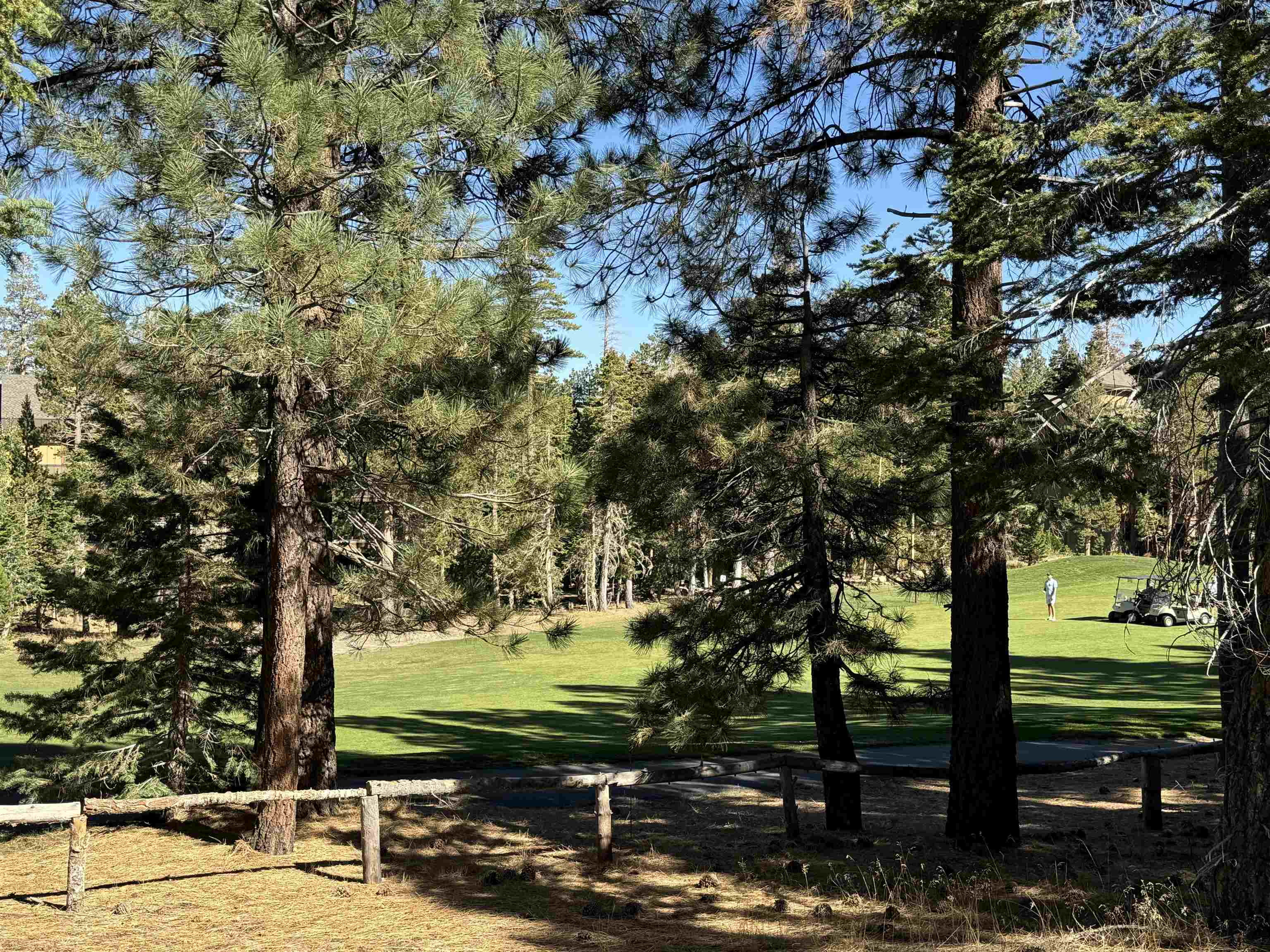 2022 Lodestar Drive Unit: Lot #10